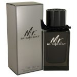 Mr Burberry Cologne