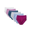 Fruit of The Loom Womens Underwear Nylon Brief Panties
