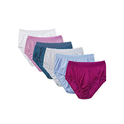 Fruit of The Loom Womens Underwear Nylon Brief Panties – Global USA Online