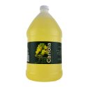 Oilderado Canola Oil, Naturally Expeller Pressed, Non-GMO Certified, Gourmet Canola Cooking Oil, Medium-Heat Cooking, Great for Dressings, Marina